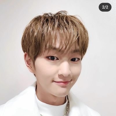nicconicco_nee's profile picture. 九龍城砦から出てこれない人