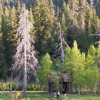 RW_Bill_Garrido's profile picture. Born cynic