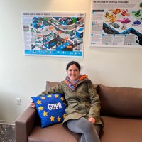 Dr. Gabriela Zanfir-Fortuna (@gabrielazanfir) 's Twitter Profile