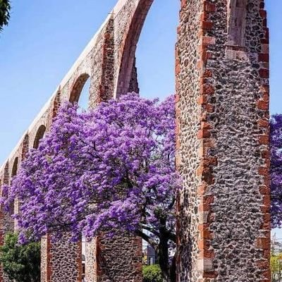 Marce77128967's profile picture. 