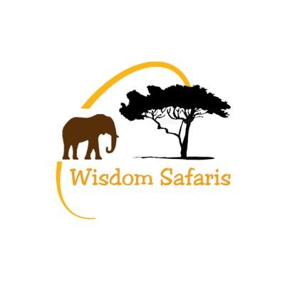 wisdomsafaris Profile Picture