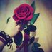 دمعة أمل ❤️ (@koaaaaok) Twitter profile photo دمعة أمل ❤️ (@koaaaaok) Twitter profile photo