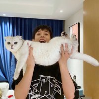 音 (@6ppe4klkx6zizes) 's Twitter Profile