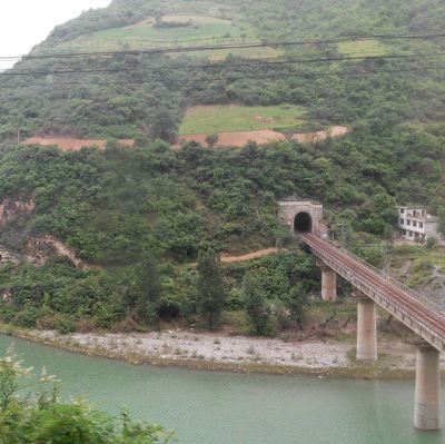 sdy60238656's profile picture. 