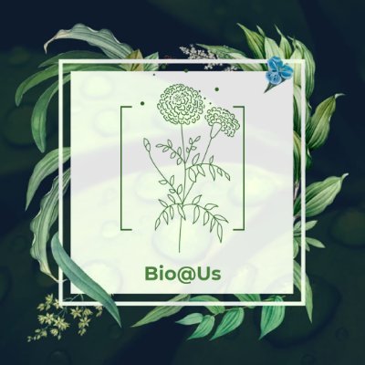 Bioatus Profile Picture