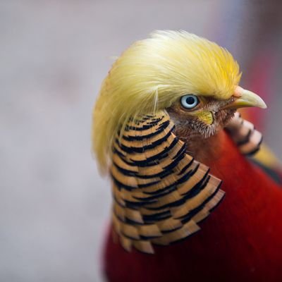 #MAGA Senior citizen Ohio. I watch politics and criminal trials from my flyover perch. I bake. Im just a small town girl with big American dreams 🎶