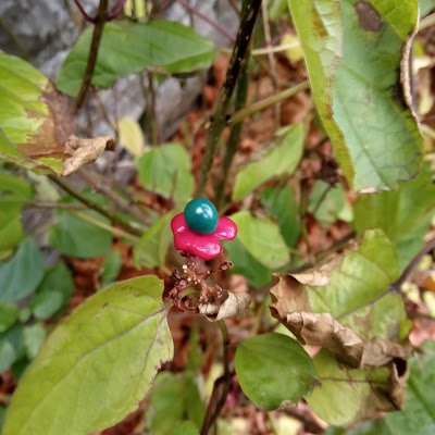 LovePlanet2022's profile picture. We can all do our bit to make sustainable choices every day.