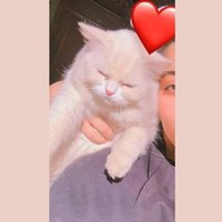احمد (@mul8rvbyvldnzqj) 's Twitter Profile