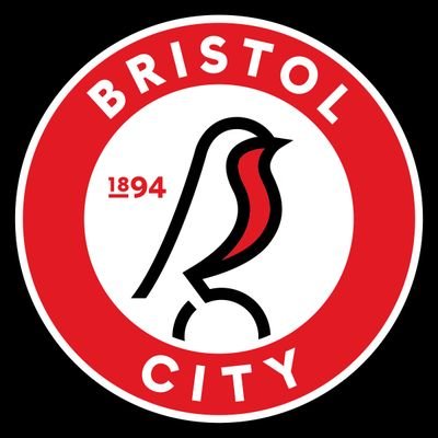 Bristol City supporter