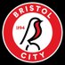 Bristol City Football Analysis (@AnalysisBCFC) Twitter profile photo