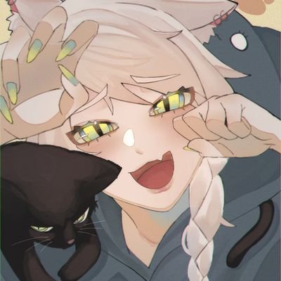 白さんのプロフィール画像