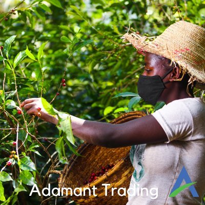 Adamant Trading PLC  works in the sectors of Import and Export, which is Dedicated to Excellence