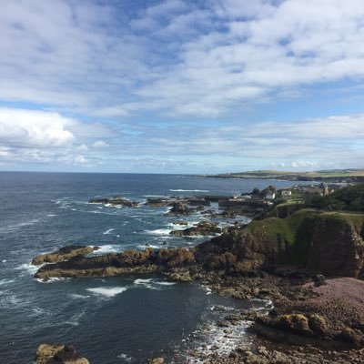 MJDRBLX's profile picture. Software Developer.