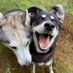 The Pet Bank Banbury (@banburypetbank) Twitter profile photo The Pet Bank Banbury (@banburypetbank) Twitter profile photo