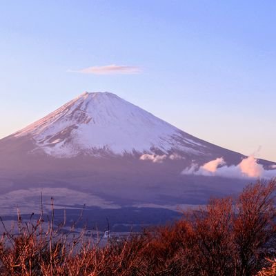 富士山や山、滝など自然が好き💕2022.10から登山をはじめました。念願の富士山に登頂✨アルプスや日本百名山にも挑戦していきたいです🍀家には4+1🐾にゃんたち💛🐱
 音楽や野球・駅伝などスポーツ観戦、ドライブも好きです✨

📷出かける時間は少ないけれど‥心に感じたまま残せるといいな(*˘︶˘*).｡*♡