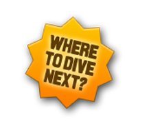 Divezone's profile picture. http://t.co/MdnyBGicPu aims to be the best guide for scuba diving holidays abroad, listing all of the top dive spots in the world!