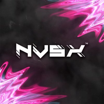 nvsxindia's profile picture. 