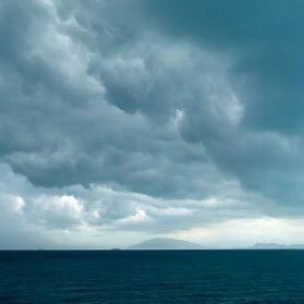 tinklepl's profile picture. 