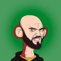 cryptnft456 (@cryptonft456) 's Twitter Profile