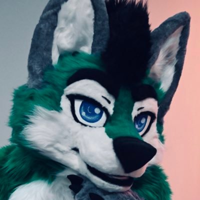 Torani_Wolf Profile Picture