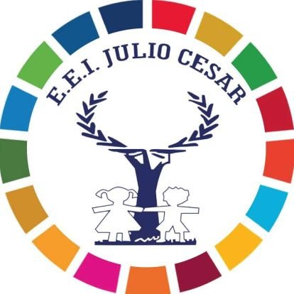 EEI JULIO CÉSAR Profile