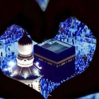 Red Rose (@redrose05444) 's Twitter Profile Photo