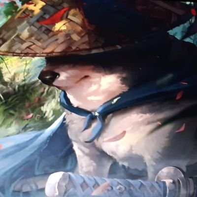 sassogigante's profile picture. .