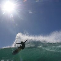 Laurence Midgley (@silkydogfish) 's Twitter Profile
