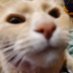 🍔 tuco 🍔 (@tucogucky) Twitter profile photo 🍔 tuco 🍔 (@tucogucky) Twitter profile photo