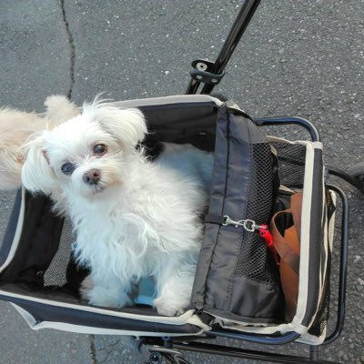 iWR8bMSt7511vML's profile picture. 