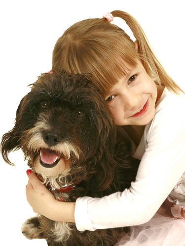 We are Suppliers of Pet Accessories.We deliver all across UK.Call
075884 92265. email : sales@1stoponlineshop.biz