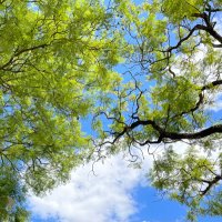 Unathi Ngese (@unathingese) 's Twitter Profile