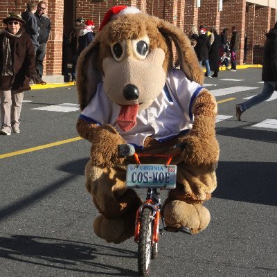 Professional mascot now retired. Evolution started in 1980 . . . bear, dragon, hornet, dinosaur, then dog. 

Big supporter of Special Olympics Virginia.