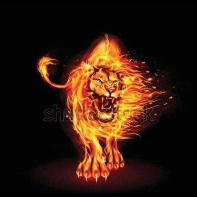 GadMillions's profile picture. 