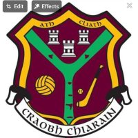 CraobhChiarain1962 (@craobhc) 's Twitter Profile