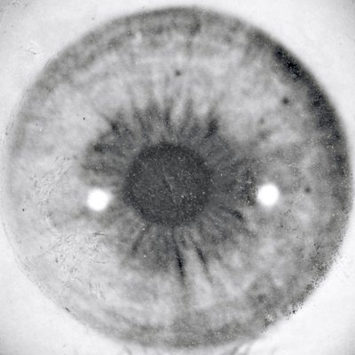 johndegen's profile picture. 