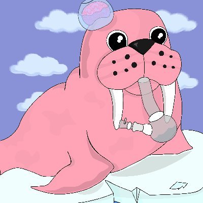 RoadSeals's profile picture. After a long, Tough, And tiring time on the streets, 3,333 Road Seals are looking for a warm home to turn their life around 🏡🦭