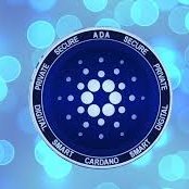 Cardano Lover 

$ADA