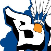 BSidesKC(@_BSidesKC) 's Twitter Profile Photo