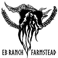 Erin Link(@erin_eb_ranch) 's Twitter Profile Photo