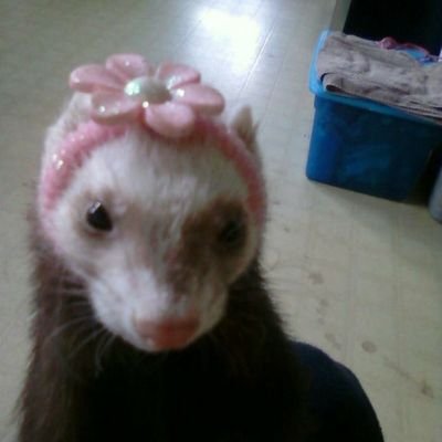 huh?🎗️🍉さんのプロフィール画像