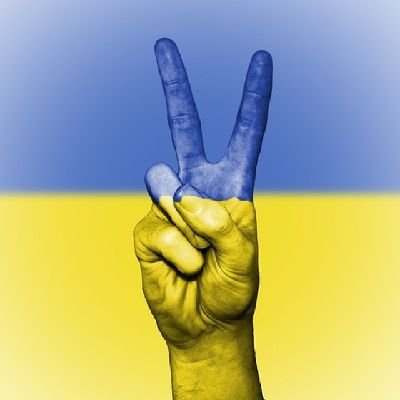 Jakonda_ll's profile picture. I love Ukrainian Cats...