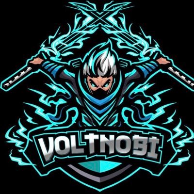CMO of @Voltnobi - The Force Of My Electrolytes We Will Not Only Bring a New Vibrant Vibe to the space, We Will Demonstrate Loyalty as it should be | ⚡️