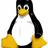 pipadel's profile image