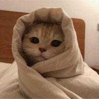 Eso 👸🏻 (@kimbucikolata1) 's Twitter Profile