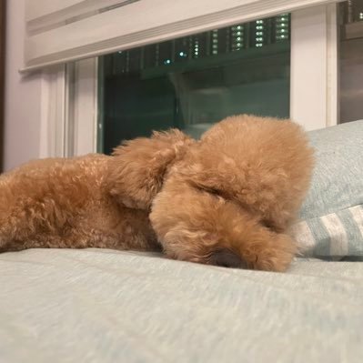 StepStephanilui's profile picture. Free mining information sharing
Follow to share the latest news together.