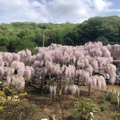 @sanomaru13(メイン垢)の写真垢です。基本的には旅行時の実況はメイン垢で、後日投稿する写真はこちらでツイートします！最近はメイン垢の旅行や花の写真もRTしてます！フォローやいいねRTは誰でもどうぞ！