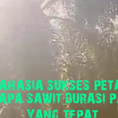 YBoanergis's profile picture. https://t.co/FtUKite6Rz…