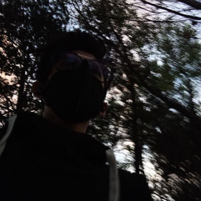 Danielsolros's profile picture. :)