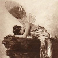 Weight of these Wings (@ofthesewings) 's Twitter Profile